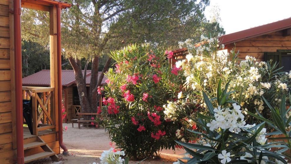Feriendorf La Mora Calvi  Exterior photo